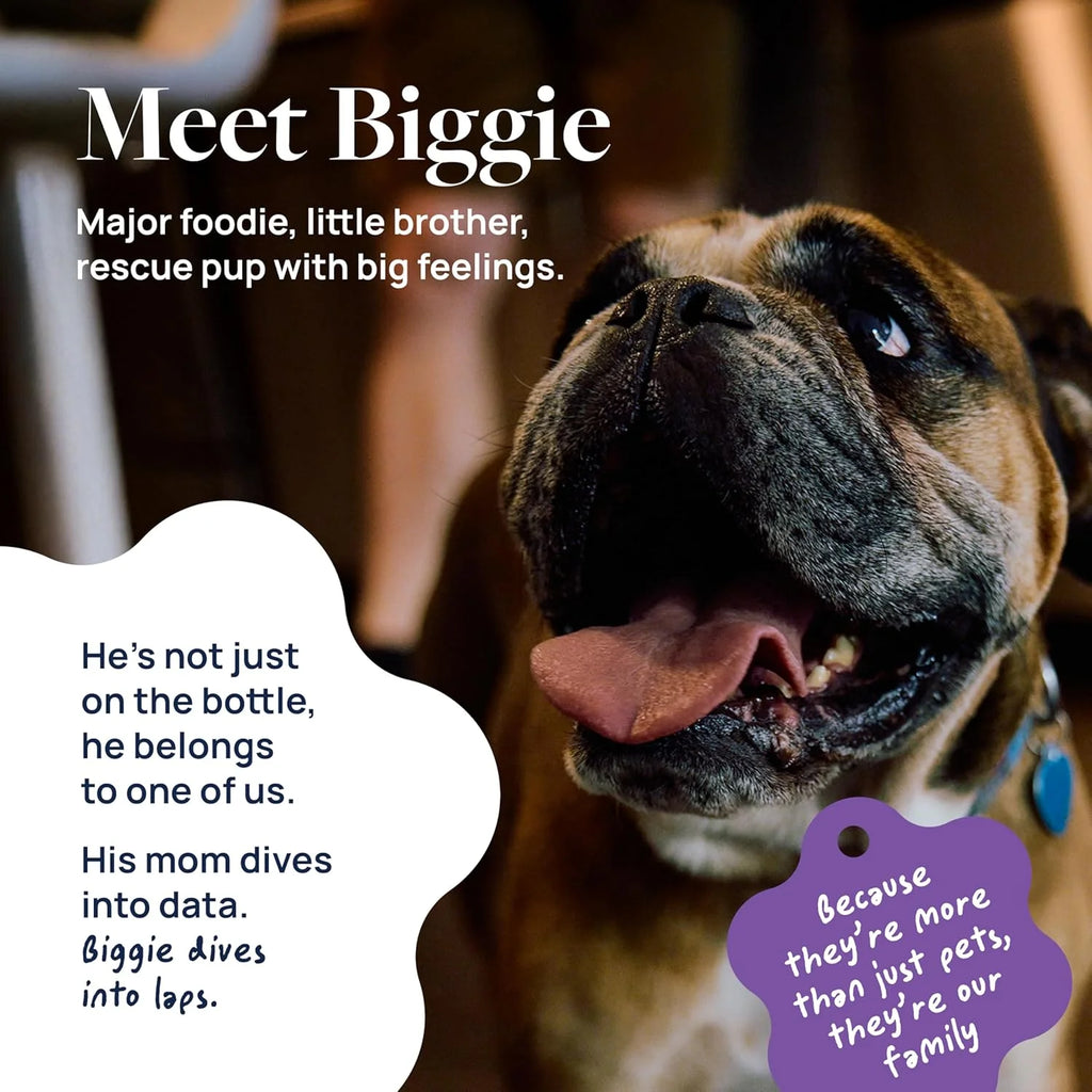 Smart Vitality Pet Calm Supplement for Dogs, Calming without Sleepiness, 60 Chews