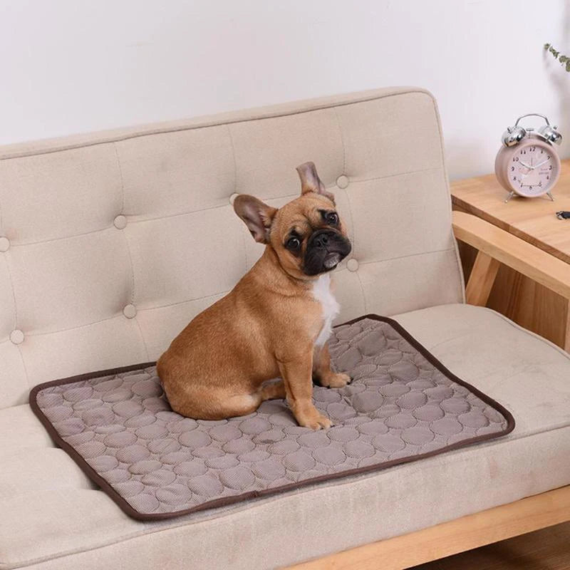 Stay Cool This Summer with Our Extra Large Dog Cooling Mat! Perfect for All Pets! 🐾❄️ #PetAccessories #SummerVibes