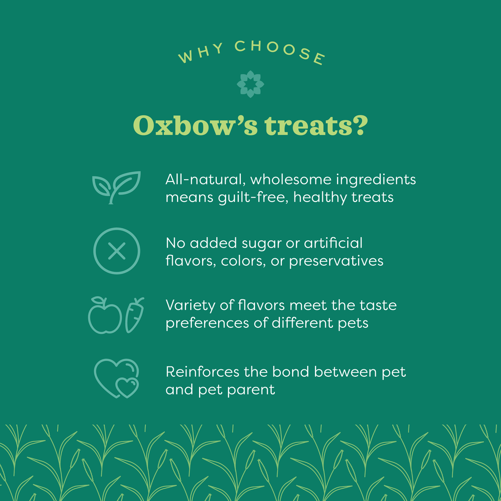 Oxbow Simple Rewards Apple Banana Treats 3Oz.