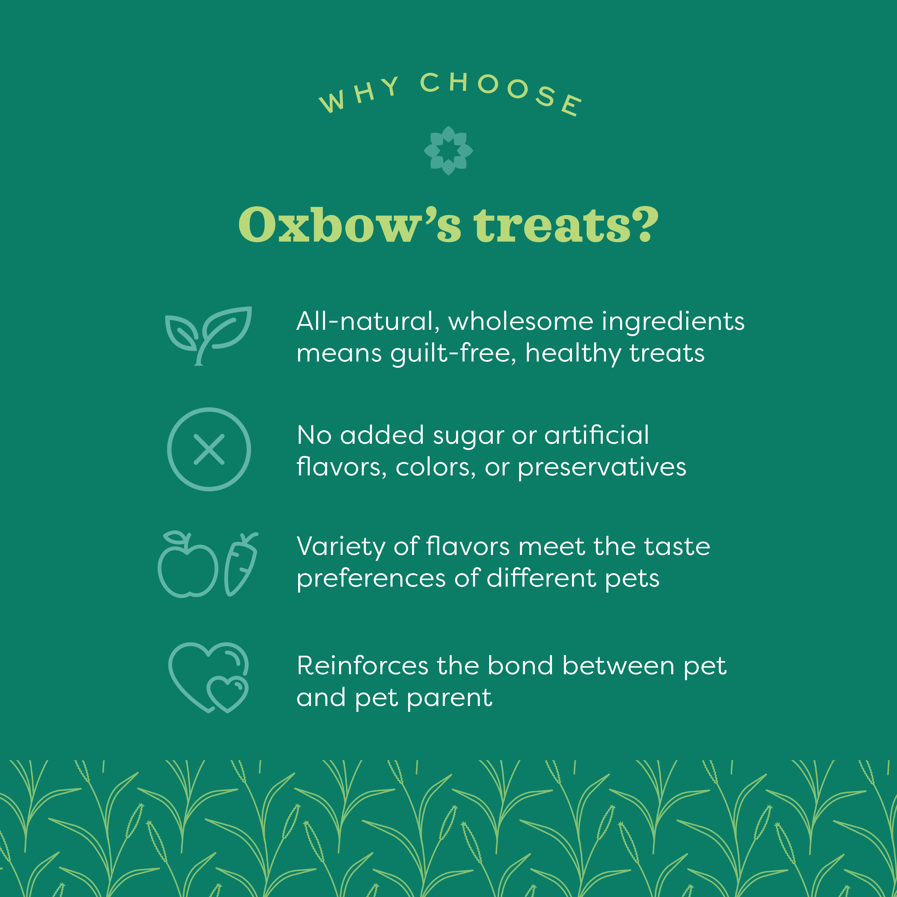 Oxbow Simple Rewards Apple Banana Treats 3Oz.