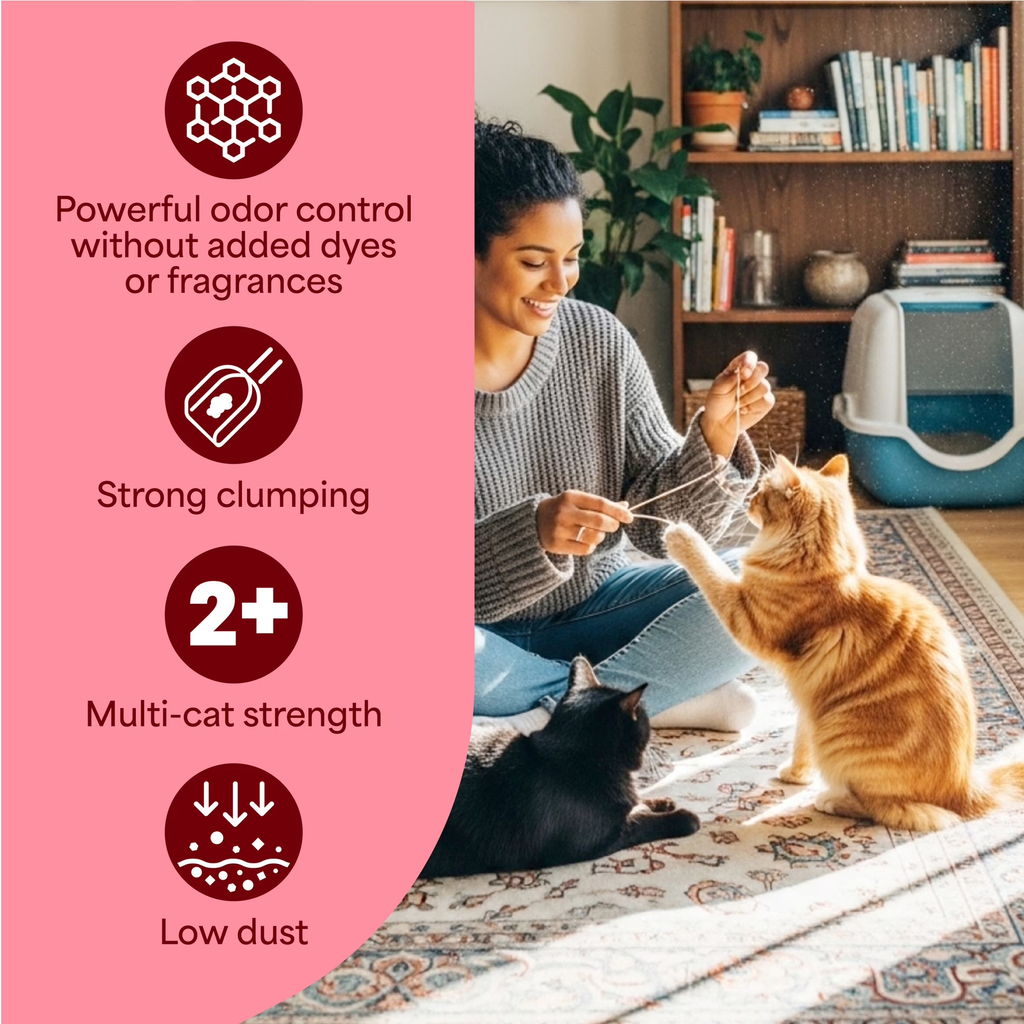 Simply Unscented Clumping Cat Litter, 14 Lbs