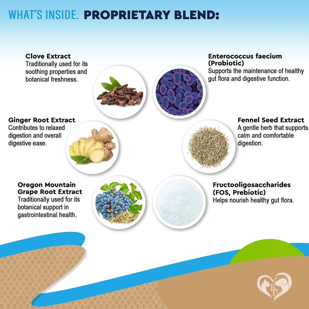 Natural Intestinal Defense for Dogs & Cats – Herbal Cleanse with Black Walnut & Probiotic – Promotes Healthy Gut & Flora Balance – Advanced Broad Spectrum Formula